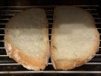 crostone che si crede lasagna