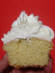 cupcake cupcake