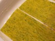 lasagne alla bolognese - sorelle Simili lasagne alla bolognese - sorelle Simili
