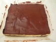nanaimo bars - barrette ciocco-cocco nanaimo bars - barrette ciocco-cocco