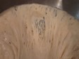 pane alla birra pane alla birra