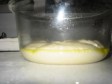pasta madre: tutto!!! pasta madre: tutto!!!