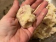 polpette tonno e patate