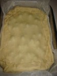 schiacciata con l'uva