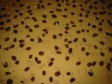 torta angelica - sorelle Simili torta angelica - sorelle Simili