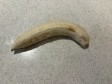 tortino banana, cacao e gocce in friggitrice