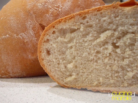 pane alla birra pane alla birra