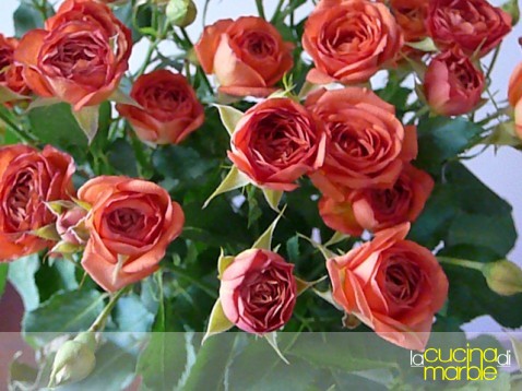 fiori regalati! fiori regalati!